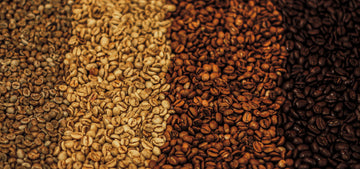 I diversi gradi di tostatura del caffè: guida completa