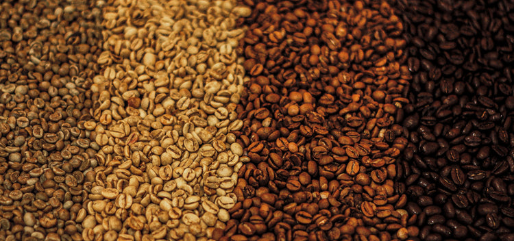 I diversi gradi di tostatura del caffè: guida completa