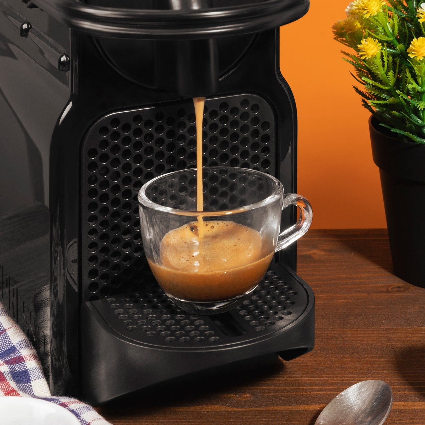10 Capsule Caffè Cortese compatibili Nespresso - Aromatizzate Ginseng Caffè Cortese